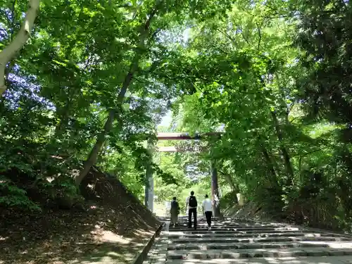 北海道神宮の鳥居