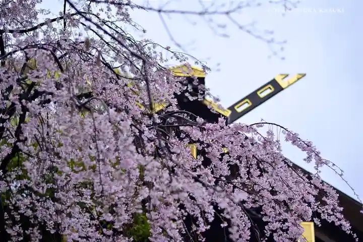 伊勢山皇大神宮の自然