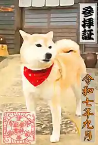 伊太祁曽神社の御朱印(2025年09月01日(月) 20時44分46秒投稿)