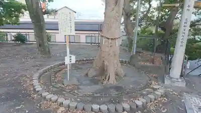 木之元神社(静岡県)