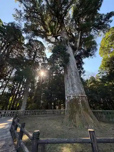 霧島神宮(鹿児島県)