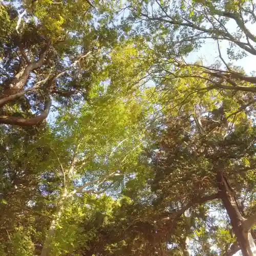 根山神社の自然