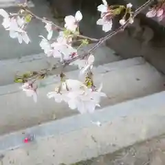 尾張大國霊神社（国府宮）の自然