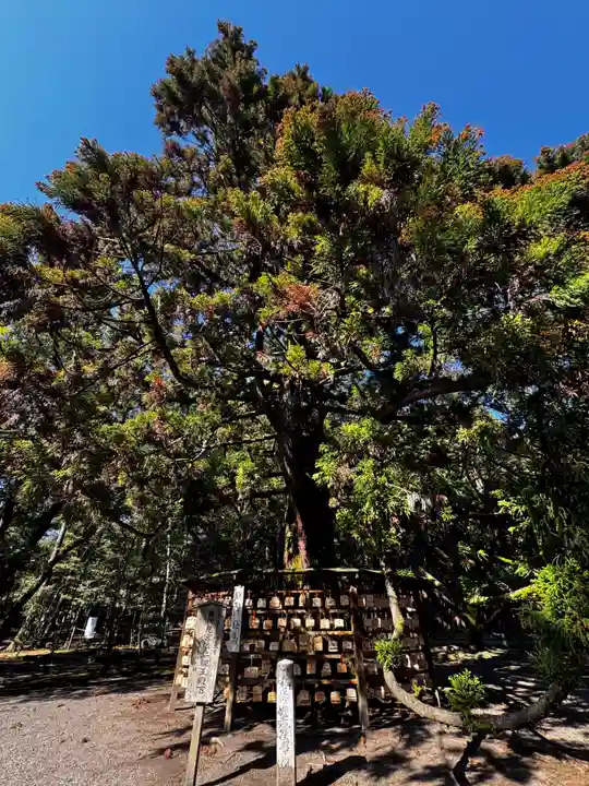 宮崎神宮(宮崎県)