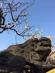 湯島天満宮の狛犬