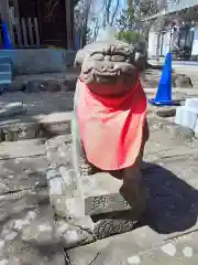 亀岡八幡宮の狛犬