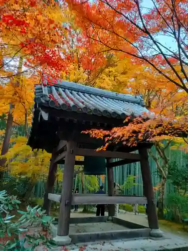 圓光寺の建物その他