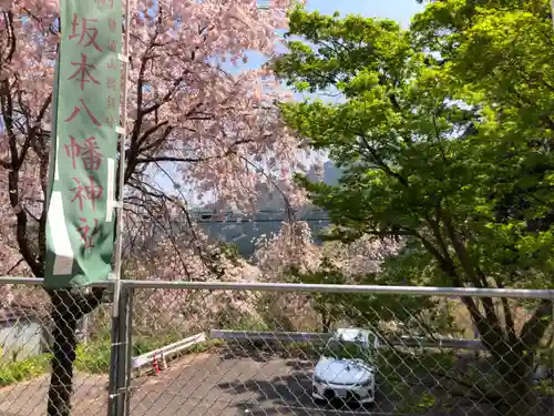 坂本八幡神社の建物その他