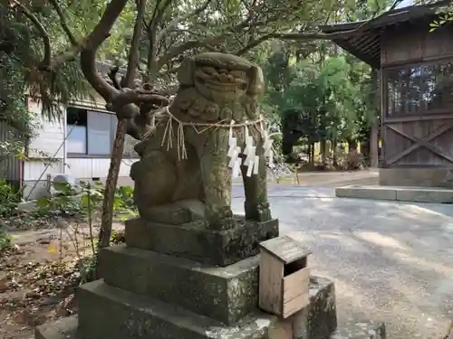 宇佐八幡神社の狛犬