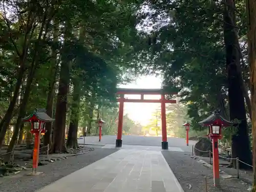 霧島神宮の鳥居