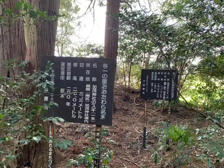 大杉神社 加茂神社(栃木県)