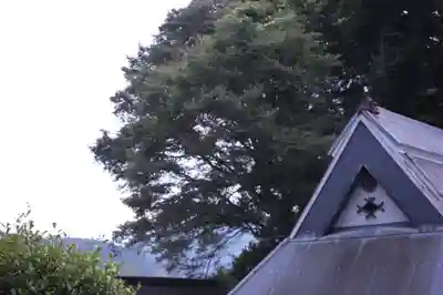 阿上三所神社(京都府)