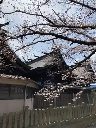 住吉神社の本殿・本堂