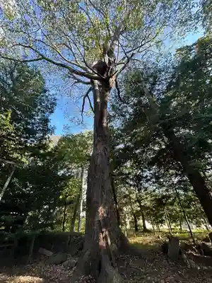 八坂神社(長野県)