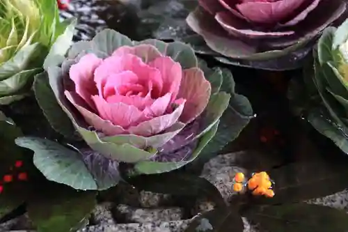 滑川神社 - 仕事と子どもの守り神の手水