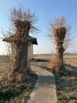 生良愛宕神社の{uncategorized: "未分類", other: "その他", undefined: "問題あり", building: "その他建物", grave: "お墓", sacred_gate: "鳥居", guardian: "狛犬", statue: "像", buddha: "仏像", history: "歴史", nature: "自然", garden: "庭園", animal: "動物", pagoda: "塔", temizu: "手水舎", mountain_gate: "山門・神門", sanctuary: "本殿・本堂", subordinate: "末社・摂社", art: "芸術", scenery: "景色", jizo: "地蔵", ema: "絵馬", goshuin: "御朱印", omikuji: "おみくじ", items: "授与品その他", amulet: "お守り", goshuincho: "御朱印帳", eats: "食事", festival: "お祭り", votive_dance: "神楽", shichigosan: "七五三参", wedding: "結婚式", experience: "体験その他", initially: "初詣", around: "周辺", anti_infection: "感染症対策"}