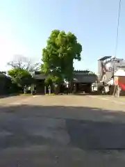 八雲神社(埼玉県)