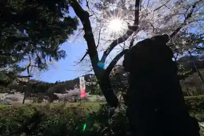 高司神社〜むすびの神の鎮まる社〜の狛犬