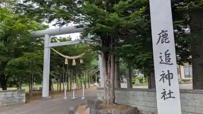 鹿追神社の鳥居