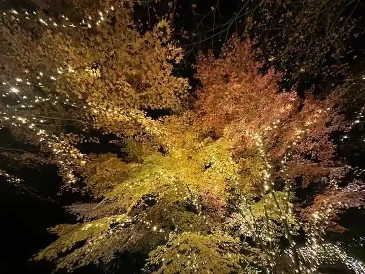箱根温泉神社(神奈川県)
