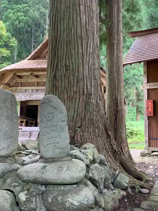 駒嶽神社の自然