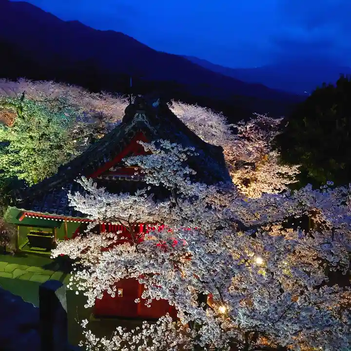 楽法寺(雨引観音)(茨城県)