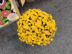 武州柿生琴平神社(神奈川県)