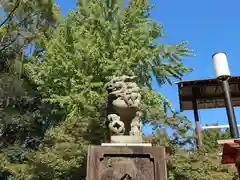 八坂神社(祇園さん)の狛犬