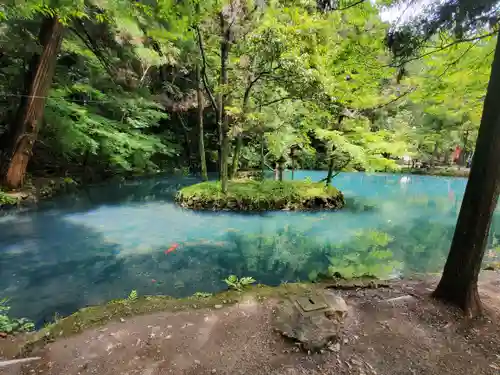 涌釜神社(栃木県)