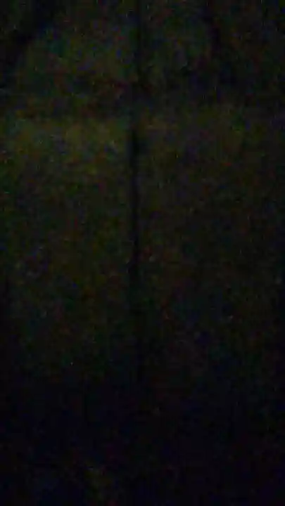 沖ノ島宇賀大明神社(千葉県)