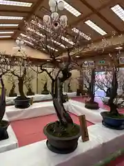 菅原天満宮（菅原神社）(奈良県)