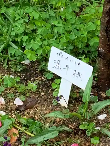 生田神社の自然