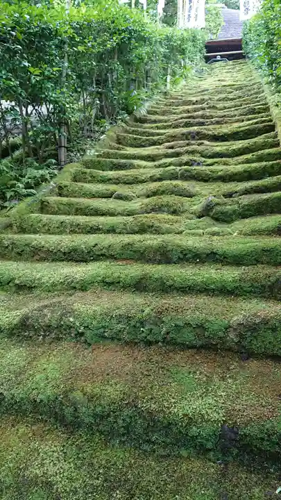 杉本寺のその他建物