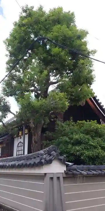 常施無畏寺 護浄院(清荒神)のその他建物