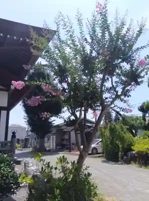 圓隆寺(神奈川県)