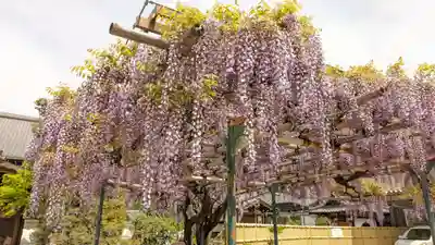 慈眼寺(京都府)