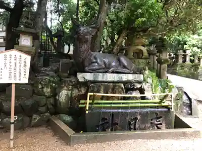 春日大社(奈良県)