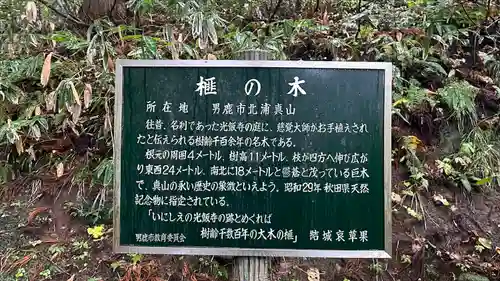 真山神社(秋田県)