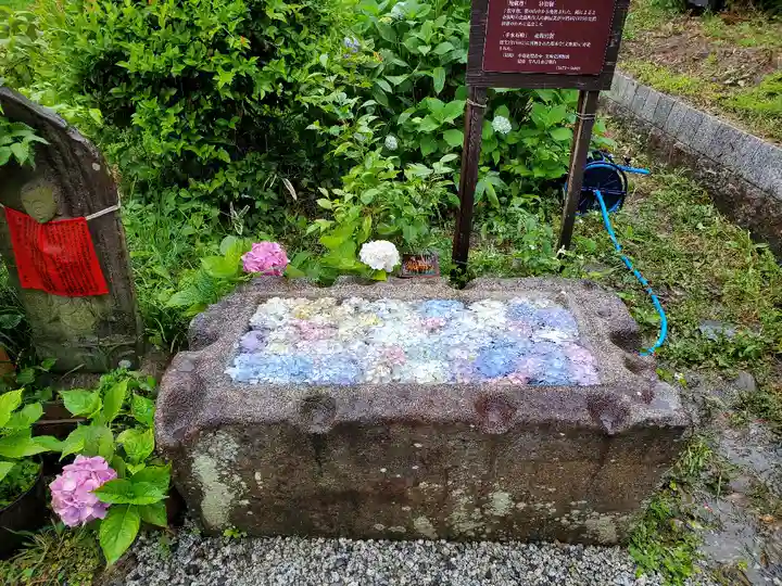 般若寺 ❁コスモス寺❁の手水舎