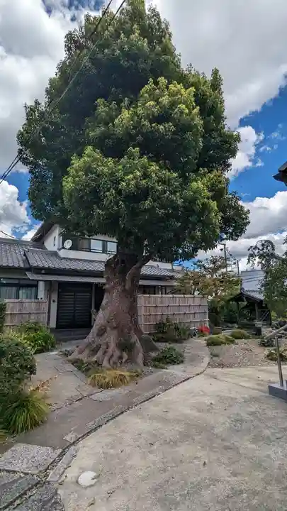 福田寺(京都府)
