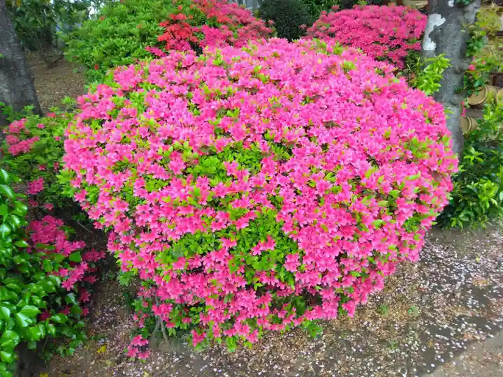 安穏寺(東京都)
