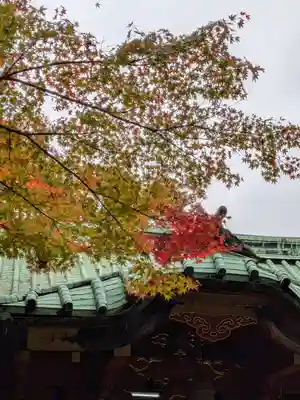 赤坂氷川神社(東京都)
