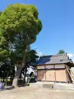 八幡社(須脇八幡社)の本殿・本堂