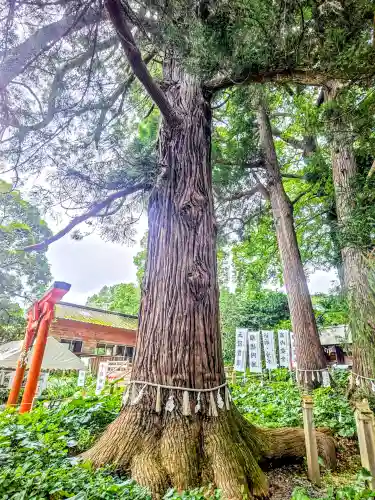 白鬚神社(宮崎県)