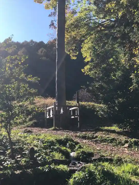 諏訪大社上社前宮(長野県)