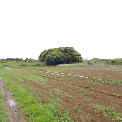 大宮神社の周辺