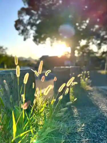 白鳥神社(長野県)