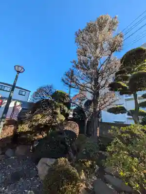 香念寺(東京都)