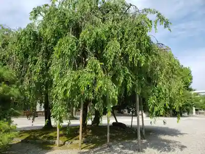 富山縣護國神社の周辺