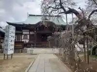 遠壽院(千葉県)